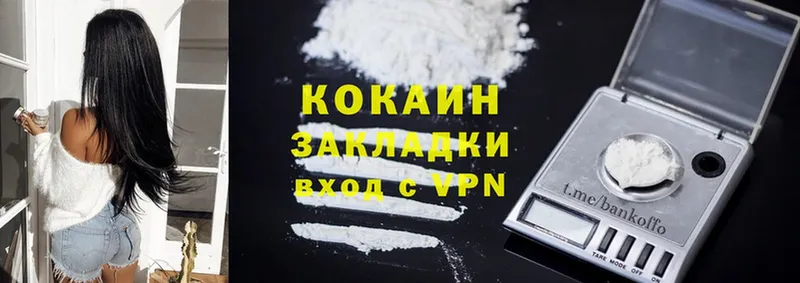 наркотики  Новоузенск  Cocaine FishScale 