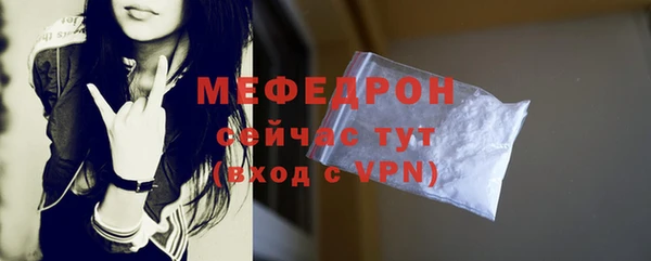 индика Новодвинск