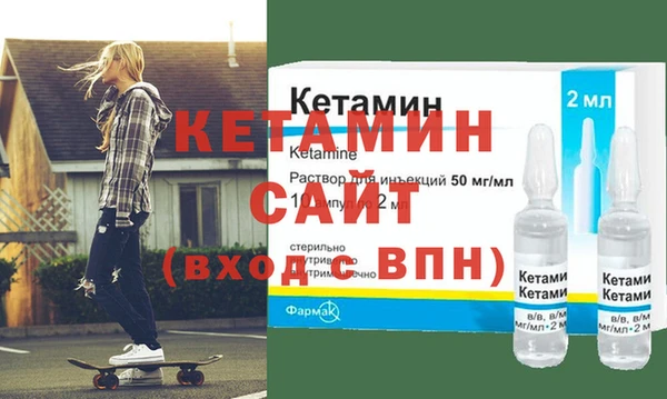 индика Новодвинск